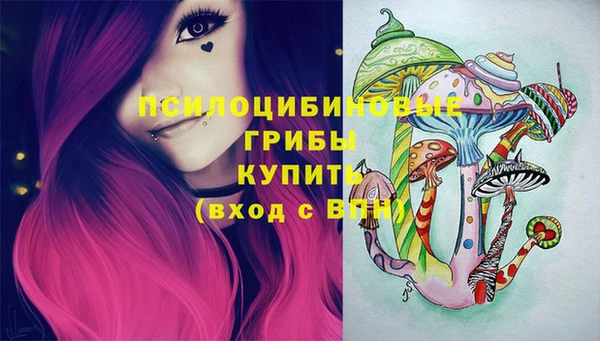 стаф Володарск